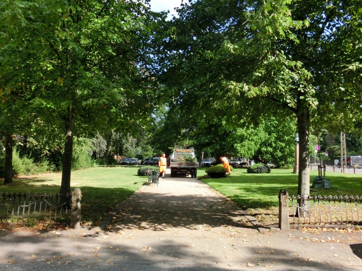 Friday project 33/52