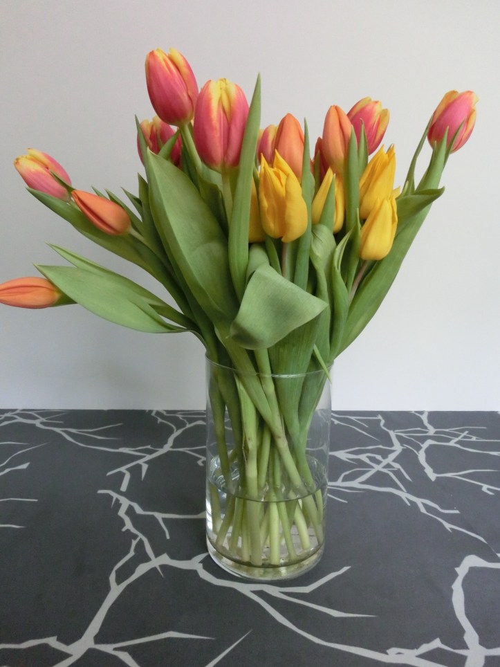 Danish tulips