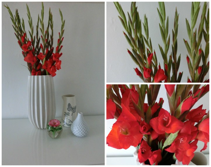 glads