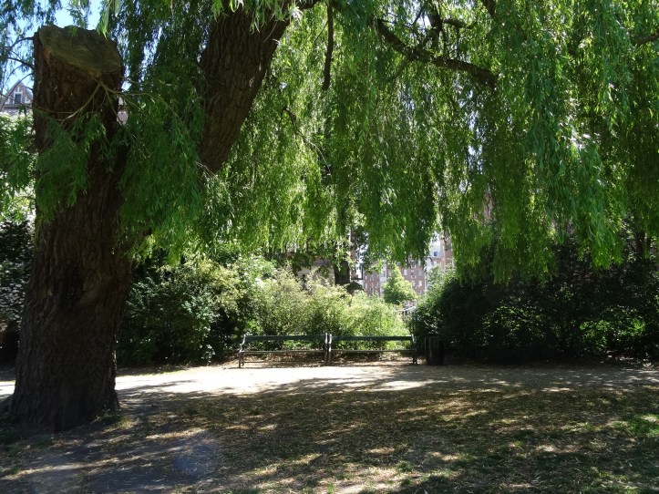 DSC01763