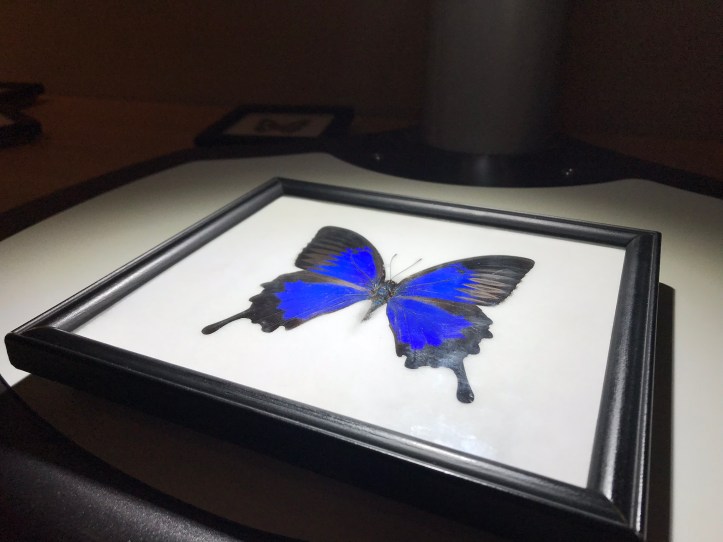 6BEF7229-450F-480B-B524-A47B114775E7